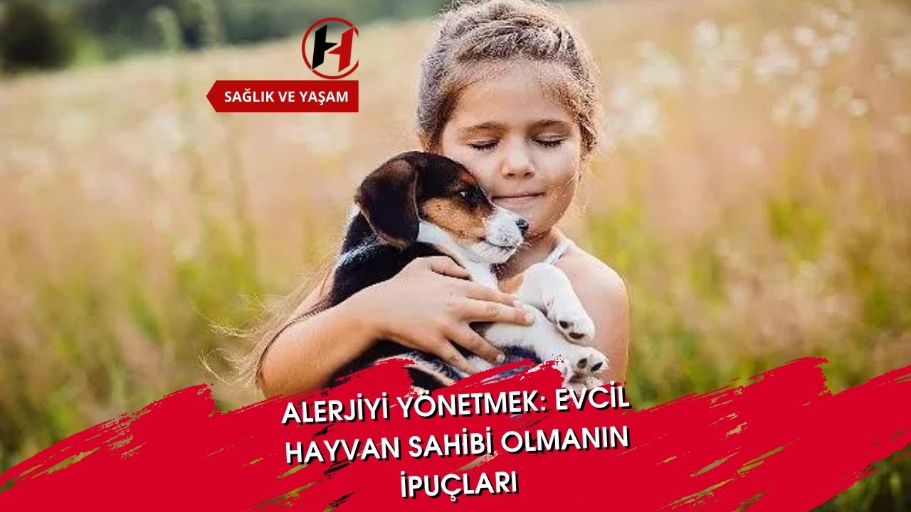 Alerjiyi Yönetmek: Evcil Hayvan Sahibi Olmanın İpuçları