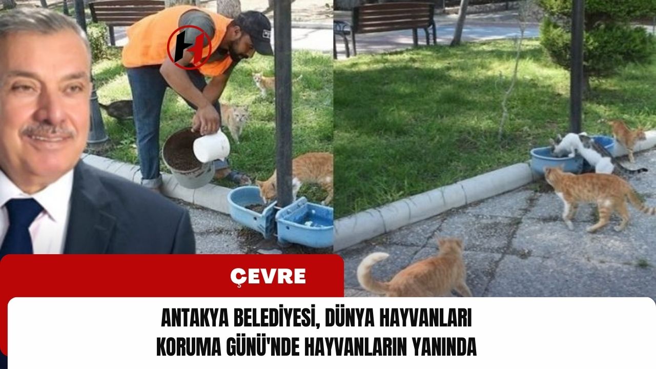 Antakya Belediyesi, Dünya Hayvanları Koruma Günü'nde Hayvanların Yanında