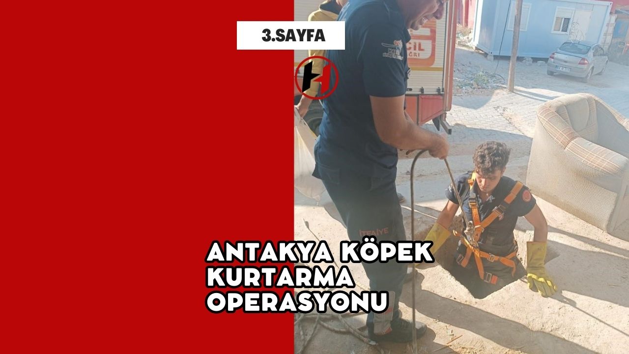 Antakya Köpek Kurtarma Operasyonu