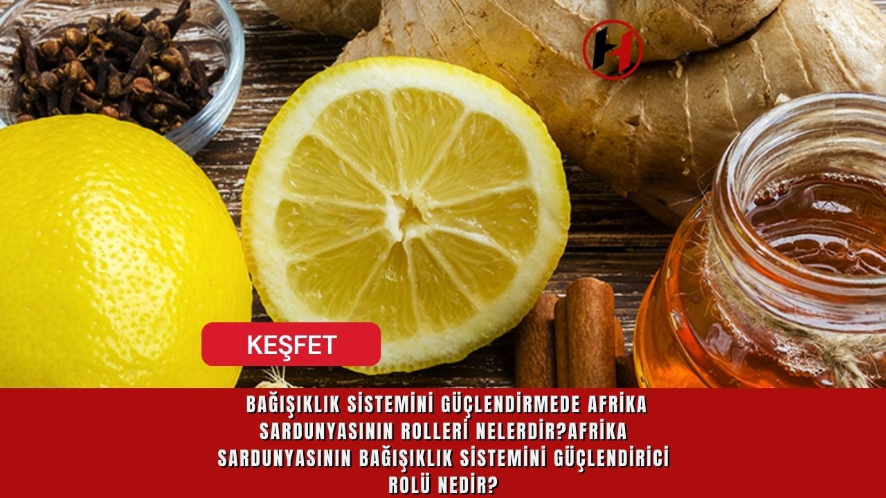 Bağışıklık Sistemini Güçlendirmede Afrika Sardunyasının Rolleri Nelerdir?Afrika Sardunyasının Bağışıklık Sistemini Güçlendirici Rolü Nedir?