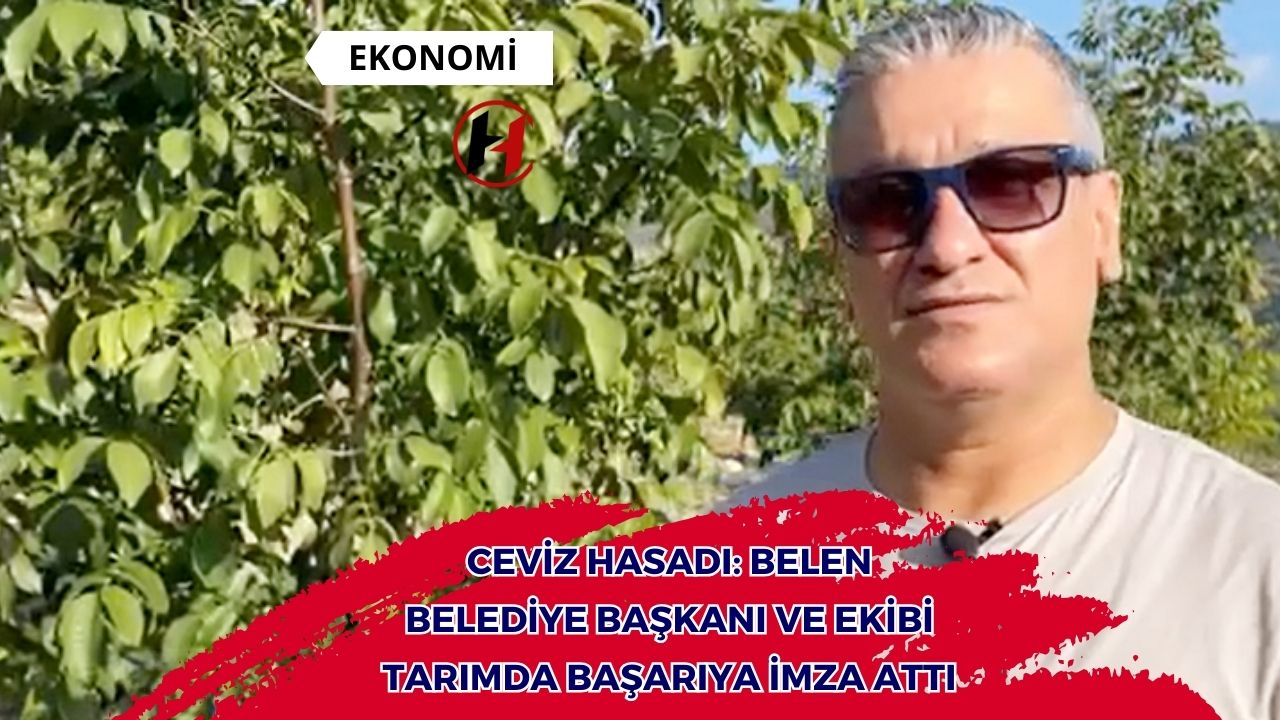 Ceviz Hasadı: Belen Belediye Başkanı ve Ekibi Tarımda Başarıya İmza Attı