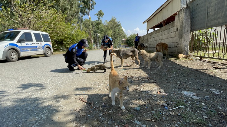 Dörtyol'da polis ve genç gönüllüler, 4 Ekim Dünya Hayvanları Koruma Günü'nde sahil bölgesine 50 kilogram yaş mama ve 20 paket mama bırakarak sahipsiz hayvanlara destek oldu.