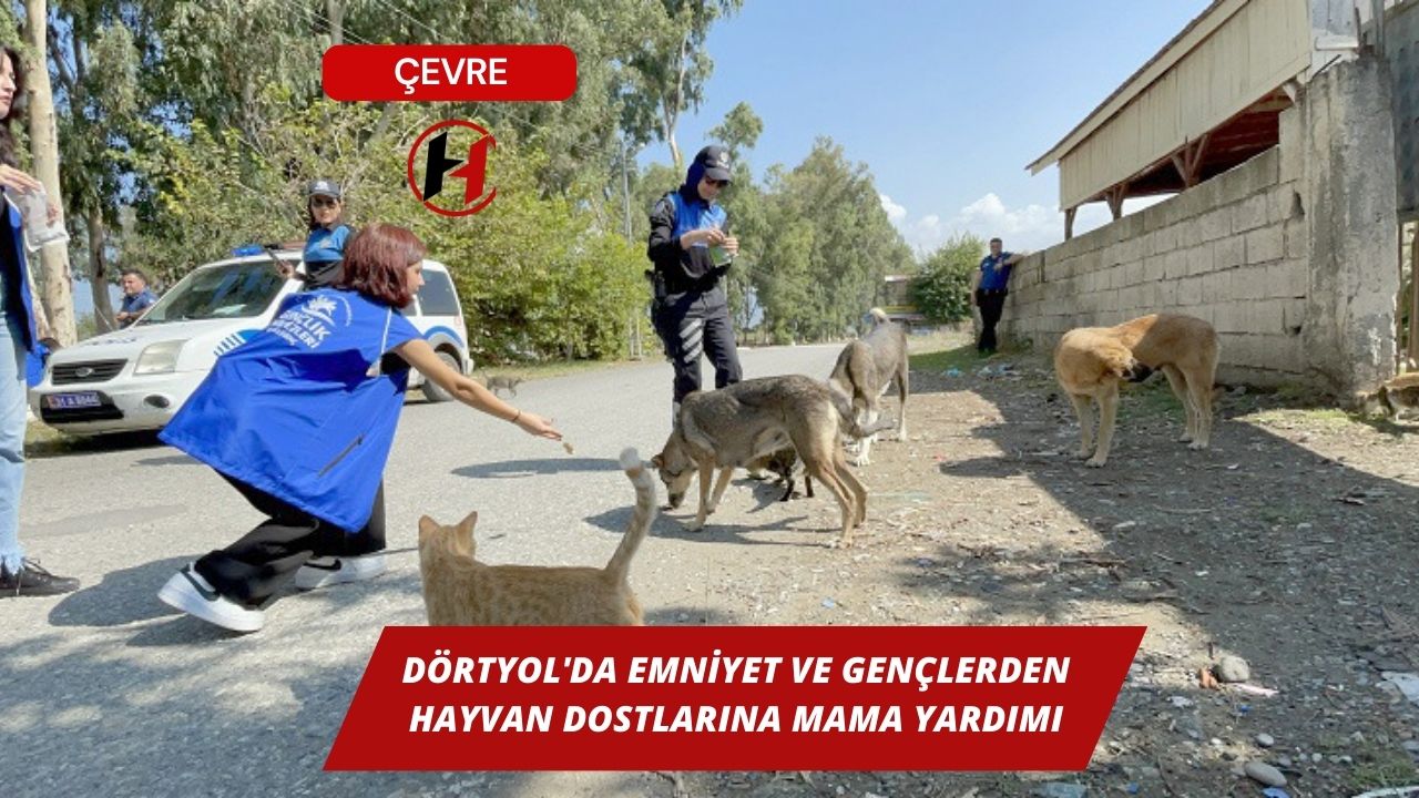 Dörtyol'da Emniyet ve Gençlerden Hayvan Dostlarına Mama Yardımı