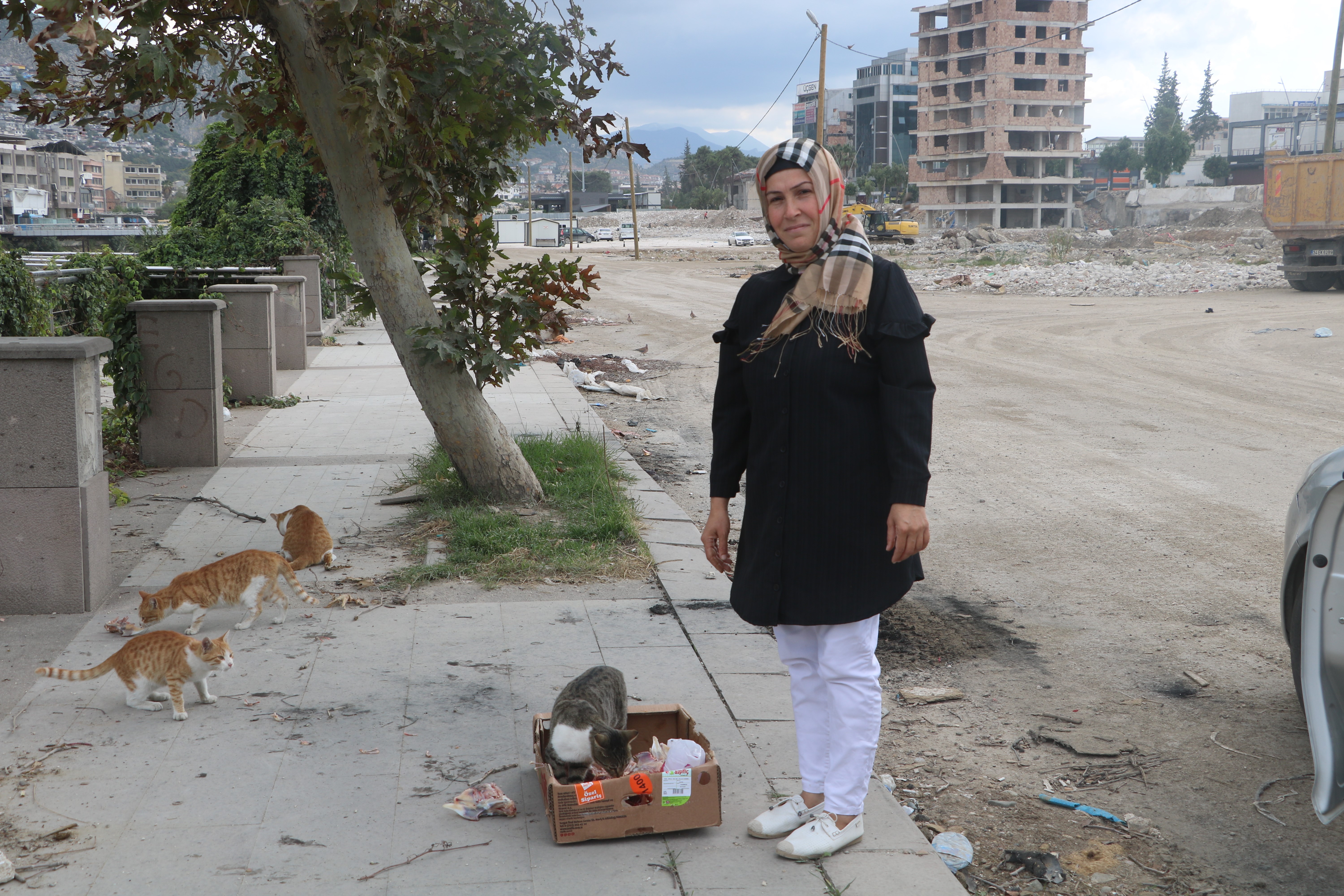 Kahramanmaraş merkezli depremin vurduğu Hatay'da yaşayan sağlık çalışanı Özlem Gönültaş, depremin etkileriyle hayalet şehre dönen kent merkezindeki sokak hayvanlarına yardım eli uzatıyor.