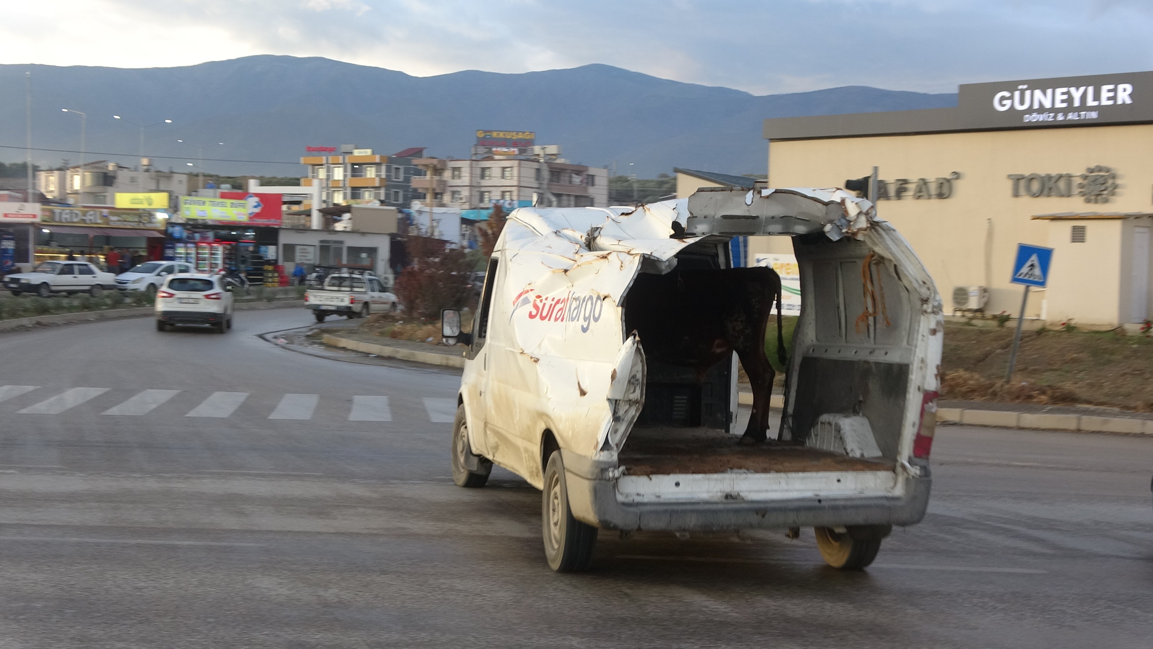 Depremlerde hasar gören araçlarla baş başa kalan Hataylı Ahmet Sungur, maddi zorluklar nedeniyle aracını tamir ettirememiş ve bu hasarlı aracını hayvancılık işi için kullanmaya başladı