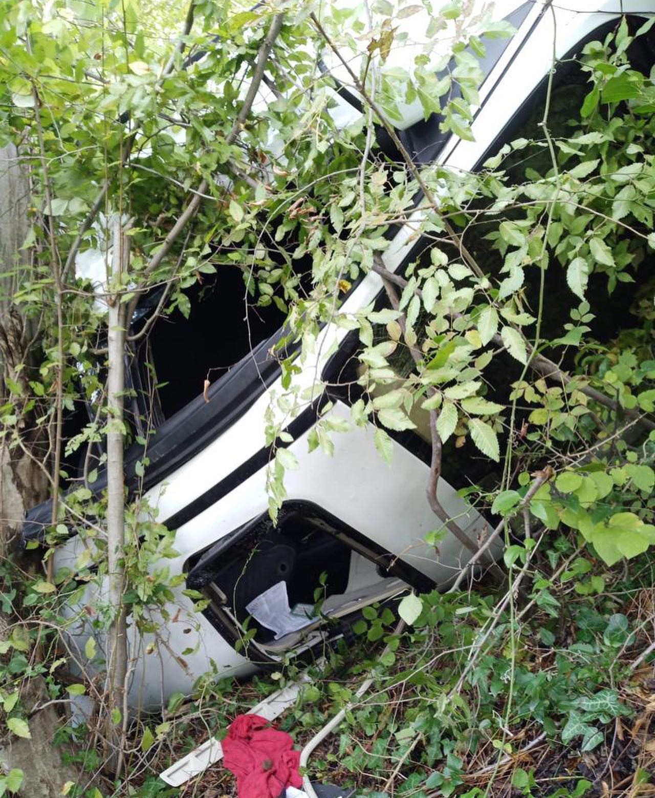 Hatay'ın Erzin ilçesinde meydana gelen trafik kazasında, sürücüsünün direksiyon hakimiyetini kaybettiği bir otomobil Kocadüz Yaylası mevkisinde ormanlık alana düştü.