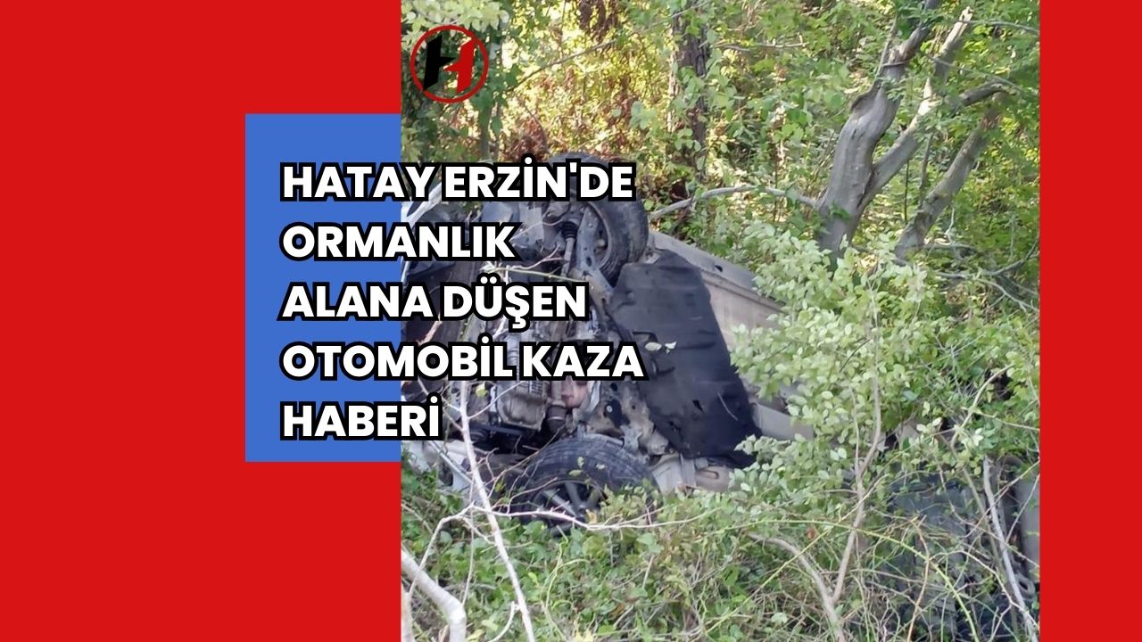 Hatay Erzin'de Ormanlık Alana Düşen Otomobil Kaza Haberi