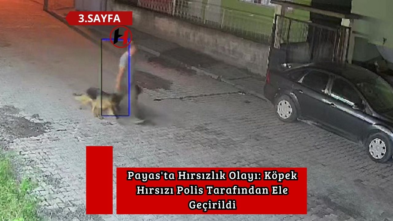 Payas'ta Hırsızlık Olayı: Köpek Hırsızı Polis Tarafından Ele Geçirildi