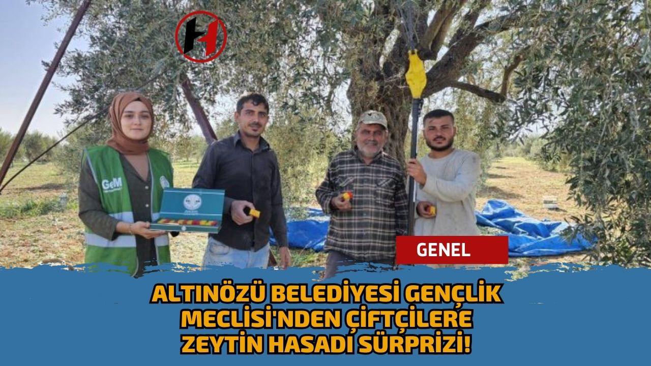 Altınözü Belediyesi Gençlik Meclisi'nden Çiftçilere Zeytin Hasadı Sürprizi!