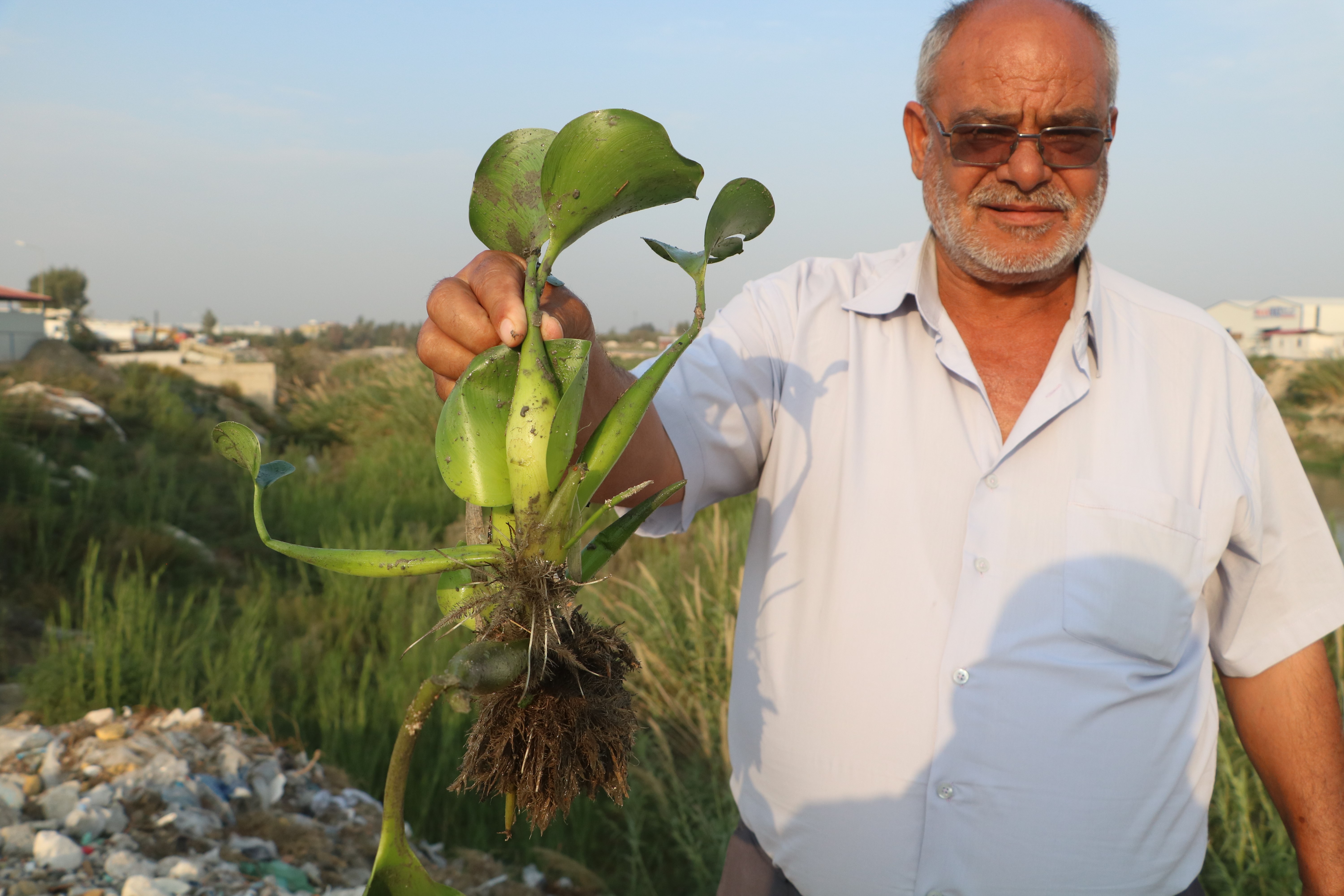 Hatay'da Asi Nehri, doğal güzellikleriyle ünlü su sümbülleri tarafından kademeli olarak kaplanıyor. Bu etkileyici görüntü, nehrin suyunun adeta görünmez hale gelmesine neden oluyor