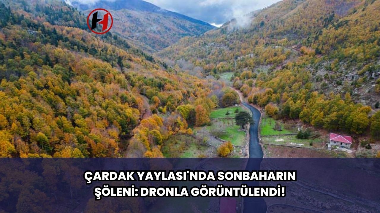 Çardak Yaylası'nda Sonbaharın Şöleni: Dronla Görüntülendi!