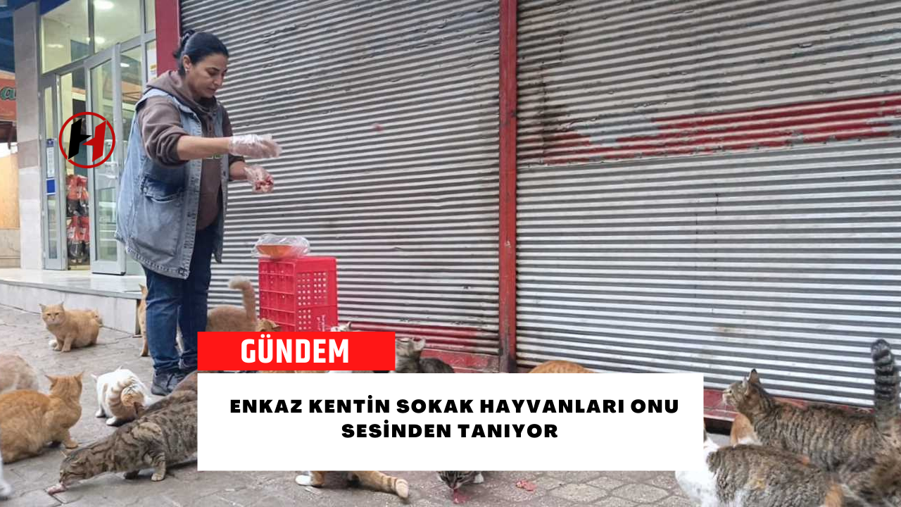 Enkaz kentin sokak hayvanları onu sesinden tanıyor