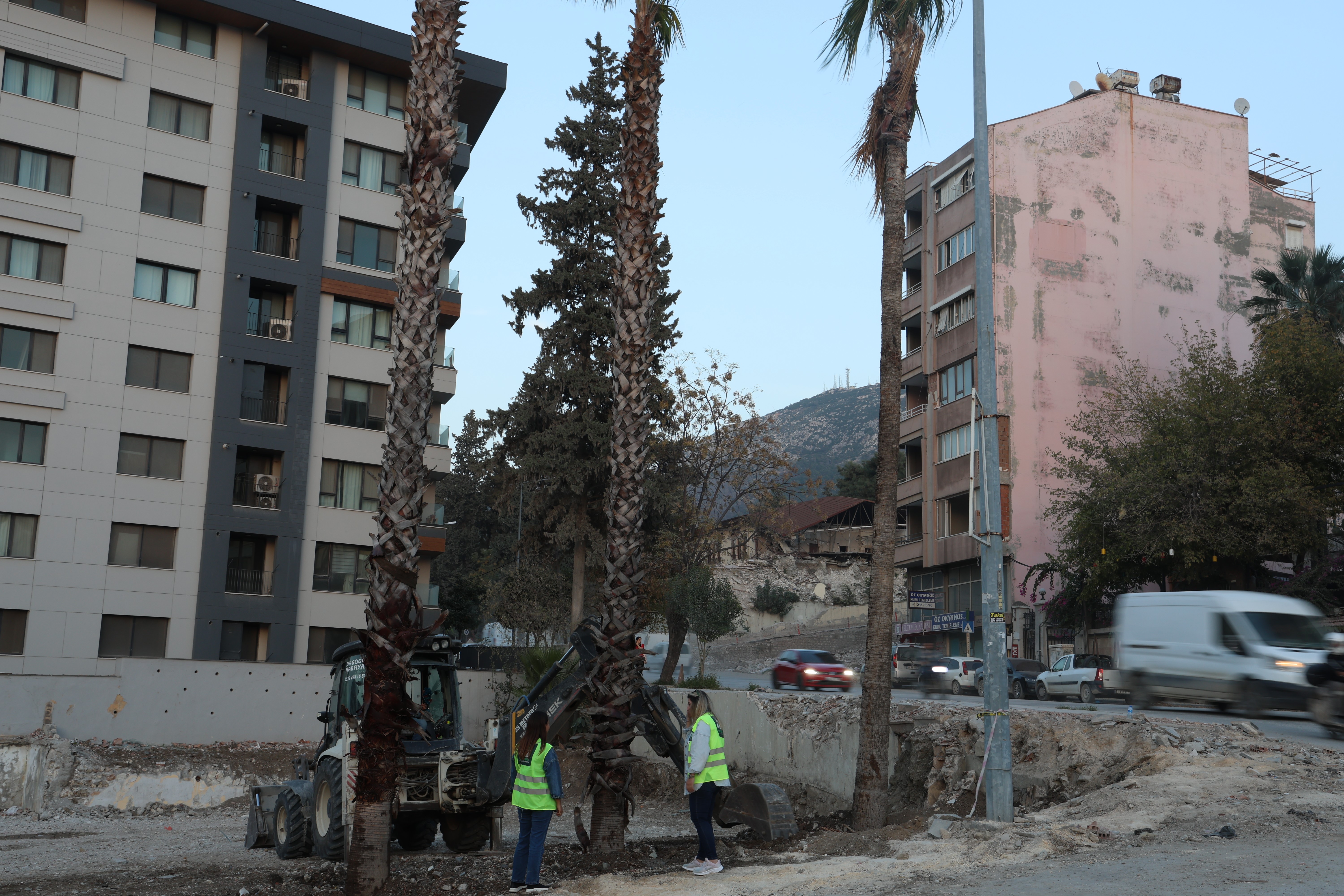 Hatay'da depremin neden olduğu enkaz kaldırma çalışmalarında sökülen bir palmiye ağacının yerine, Elazığ Doğa Geri Dönüşüm A.Ş. tarafından 3 yetişkin palmiye ve 2 bin 100 fidan dikildi. 