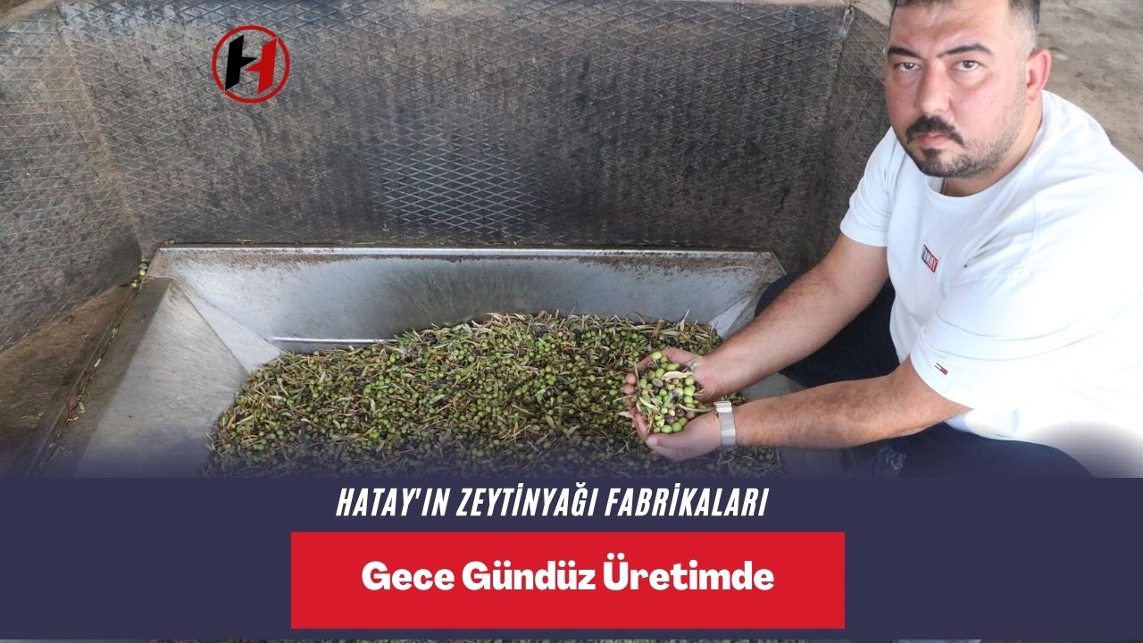 Hatay'ın Zeytinyağı Fabrikaları Gece Gündüz Üretimde