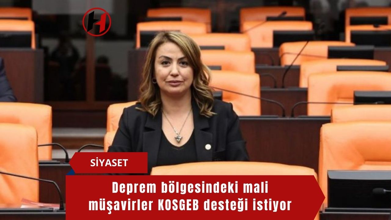 Deprem bölgesindeki mali müşavirler KOSGEB desteği istiyor