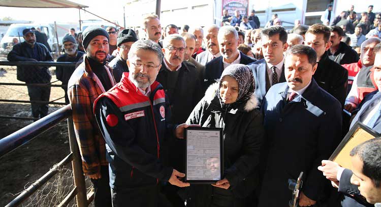 Tarım ve Orman Bakanı İbrahim Yumaklı, Kırıkhan'daki hayvan pazarında, 6 Şubat depremlerinde hayvanlarını kaybeden üreticilere 762 adet büyükbaş hayvan dağıtımı gerçekleştirdi.