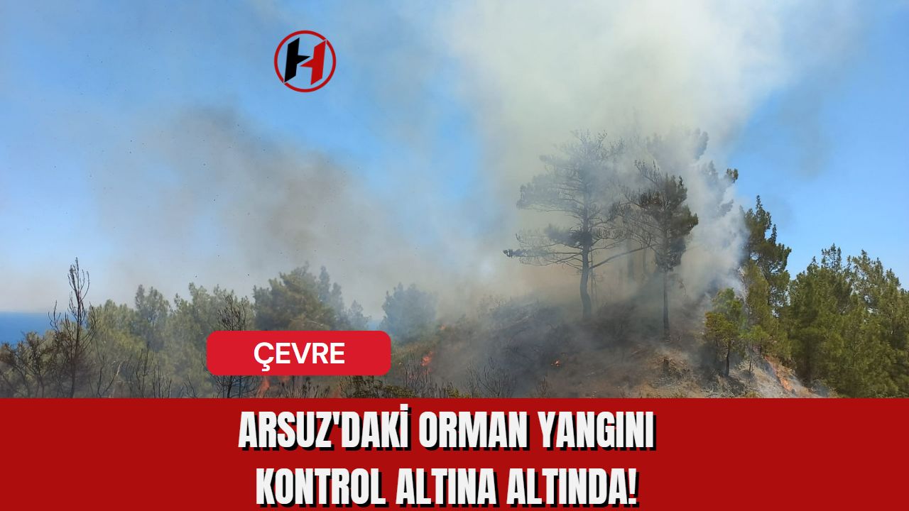 Arsuz'daki Orman Yangını Kontrol Altına Altında!