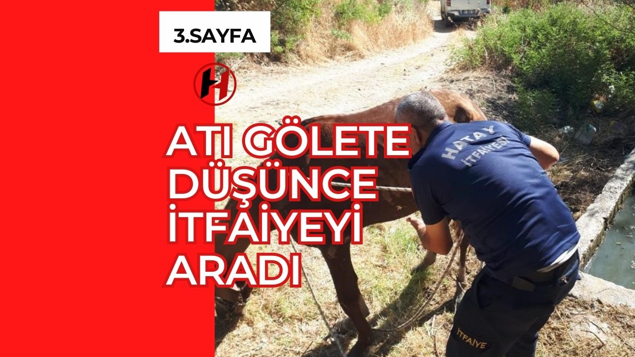 Atı Gölete Düşünce İtfaiyeyi Aradı