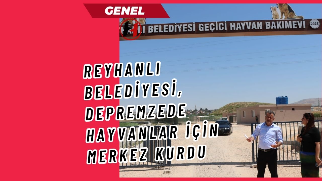 Reyhanlı Belediyesi, Depremzede Hayvanlar İçin Merkez Kurdu