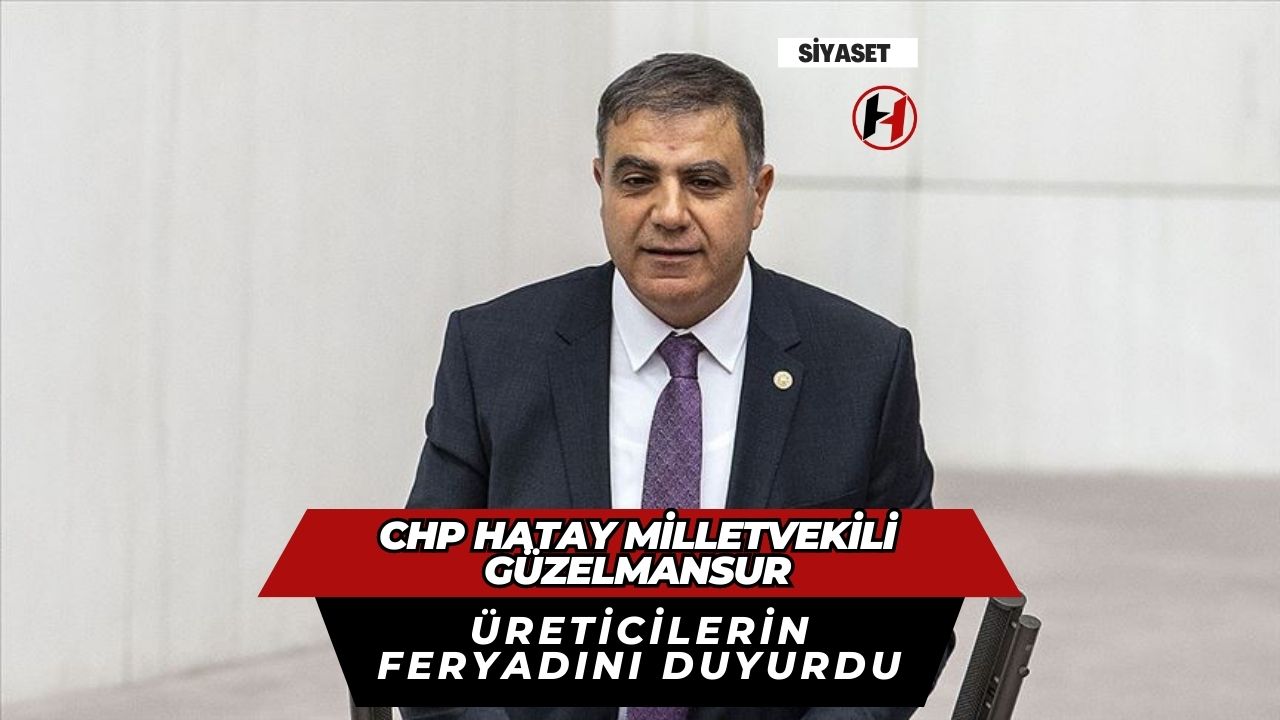 CHP Hatay Milletvekili Güzelmansur, Üreticilerin Feryadını Duyurdu