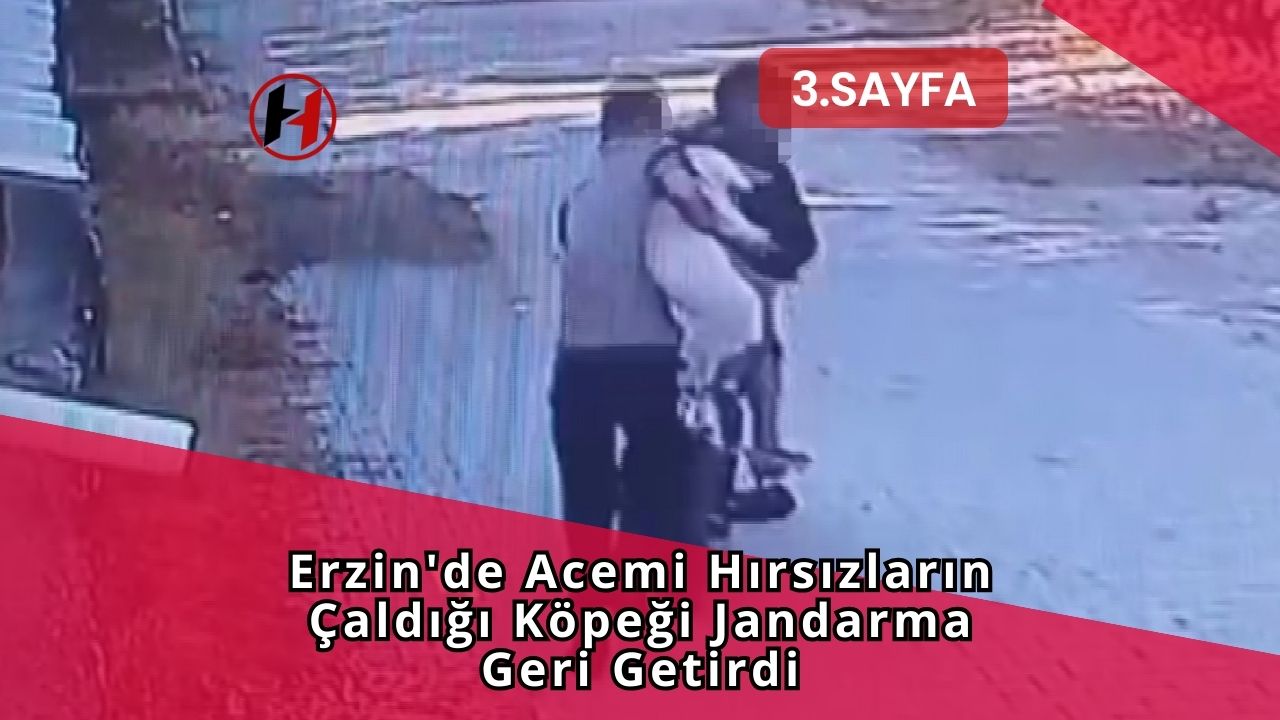 Erzin'de Acemi Hırsızların Çaldığı Köpeği Jandarma Geri Getirdi