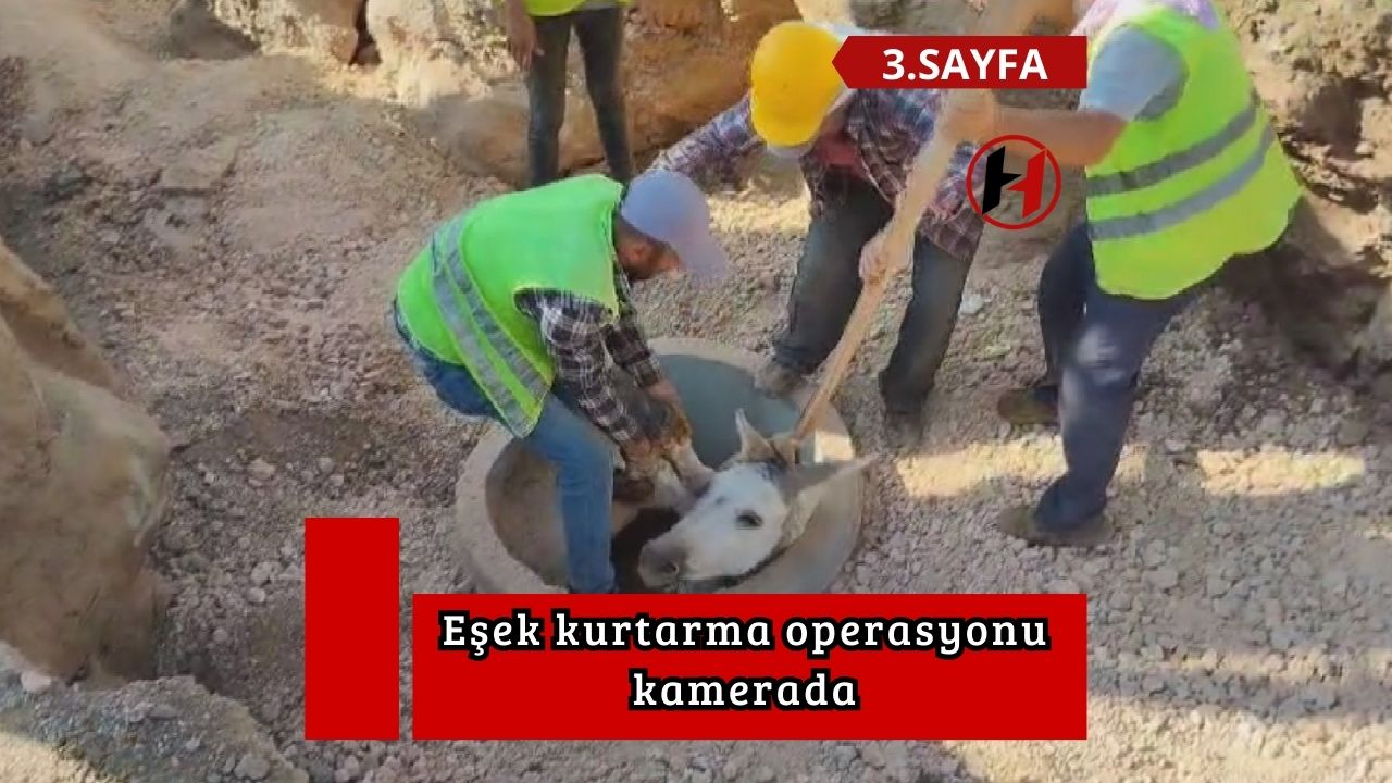 Eşek kurtarma operasyonu kamerada