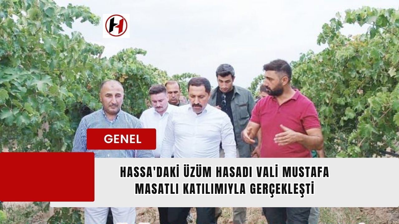 Hassa'daki Üzüm hasadı Vali Mustafa Masatlı Katılımıyla Gerçekleşti