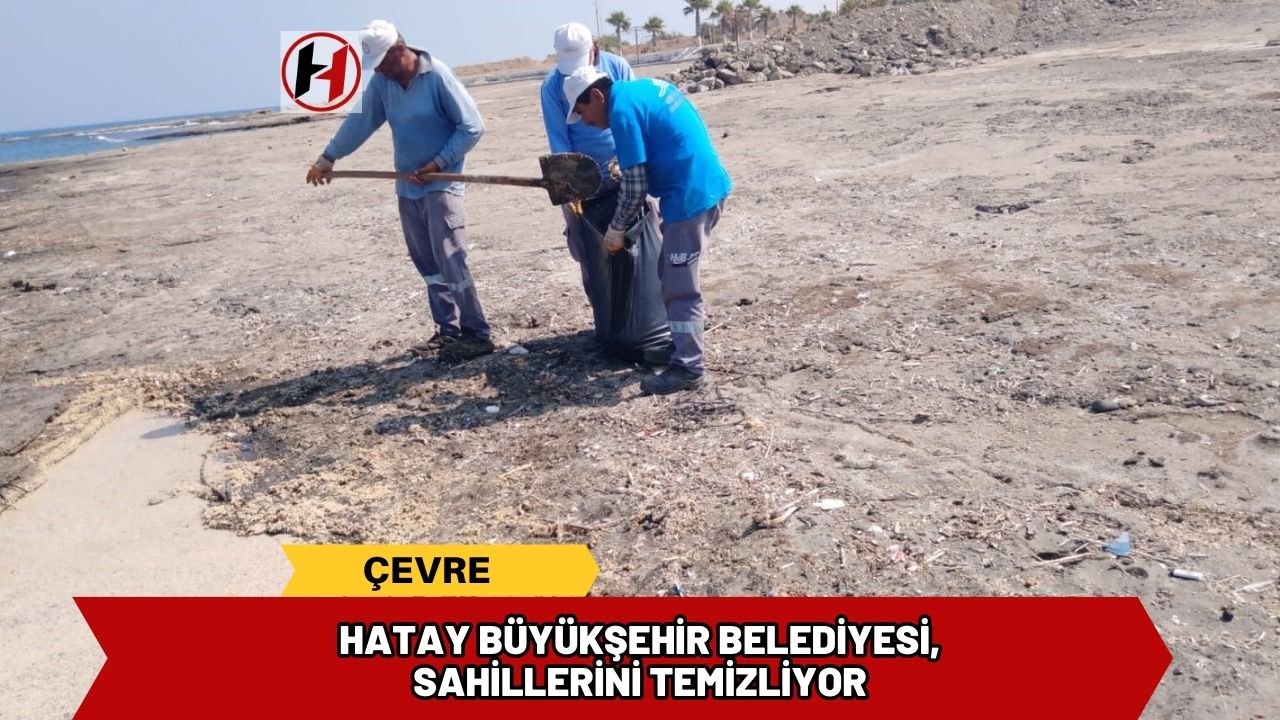 Hatay Büyükşehir Belediyesi, Sahillerini Temizliyor