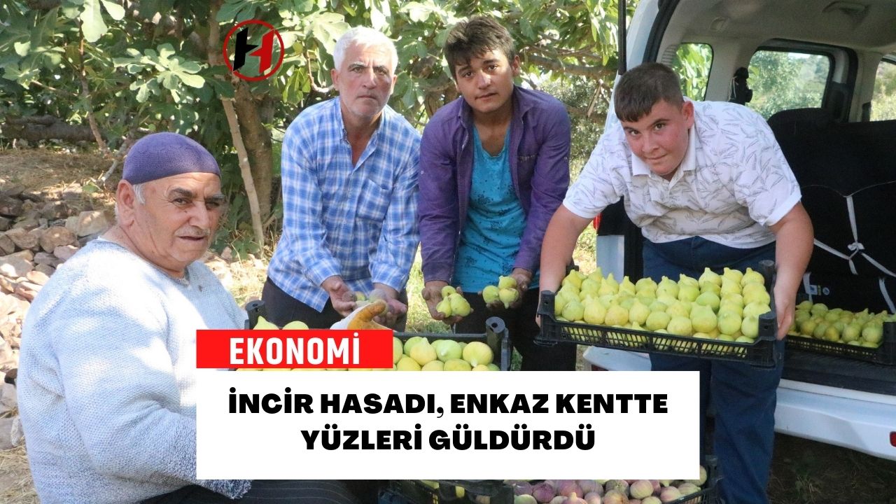 İncir Hasadı, Enkaz Kentte Yüzleri Güldürdü