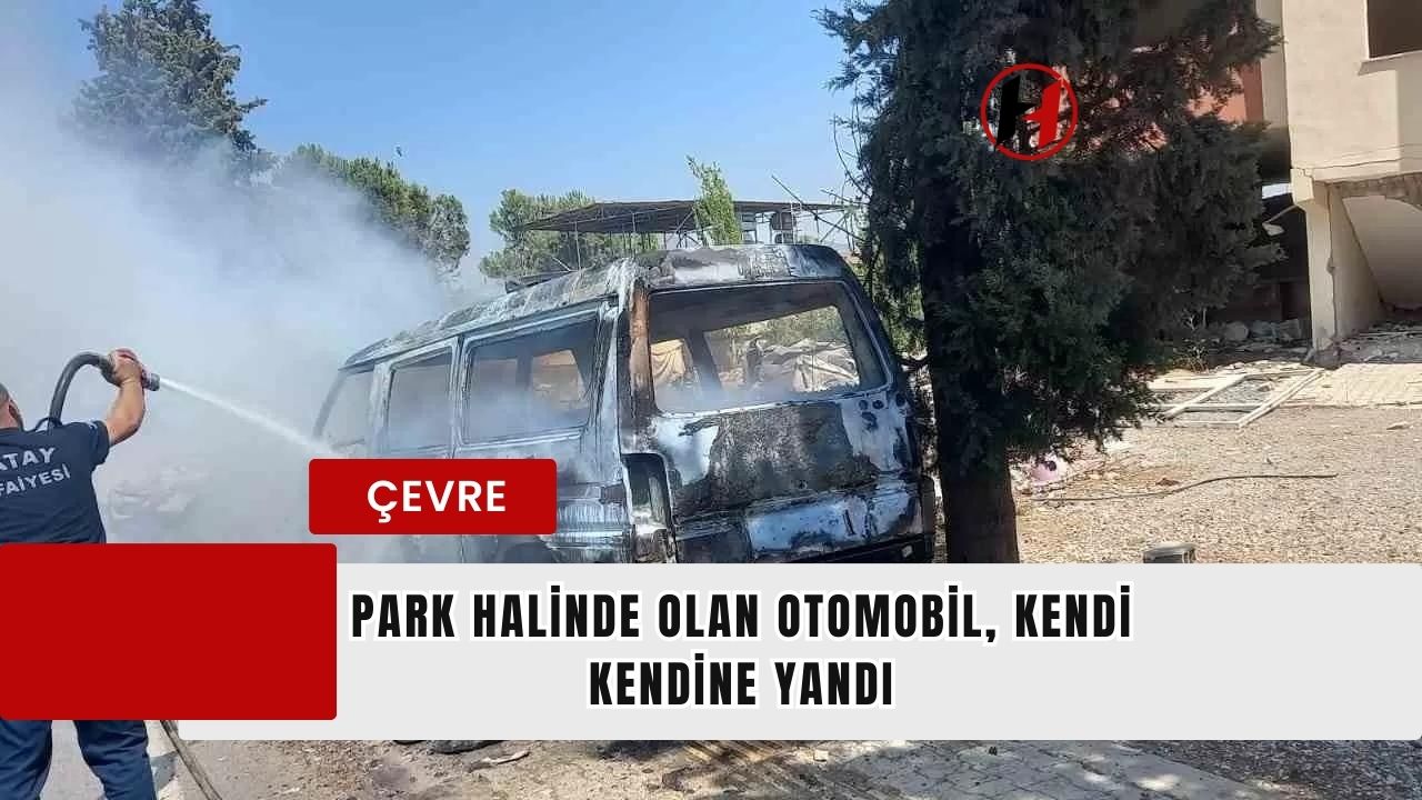 Park Halinde Olan Otomobil, Kendi Kendine Yandı