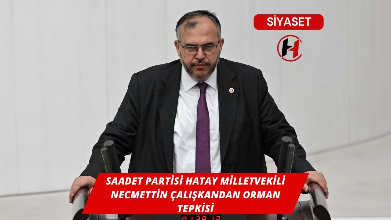 Saadet Partisi Hatay Milletvekili Necmettin Çalışkandan Orman Tepkisi