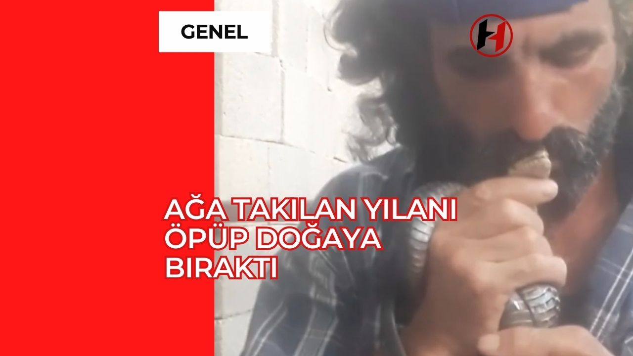 Ağa Takılan Yılanı Öpüp Doğaya Bıraktı