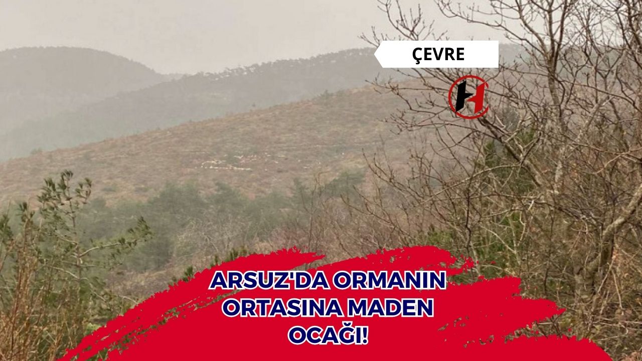 Arsuz'da ormanın ortasına maden ocağı!