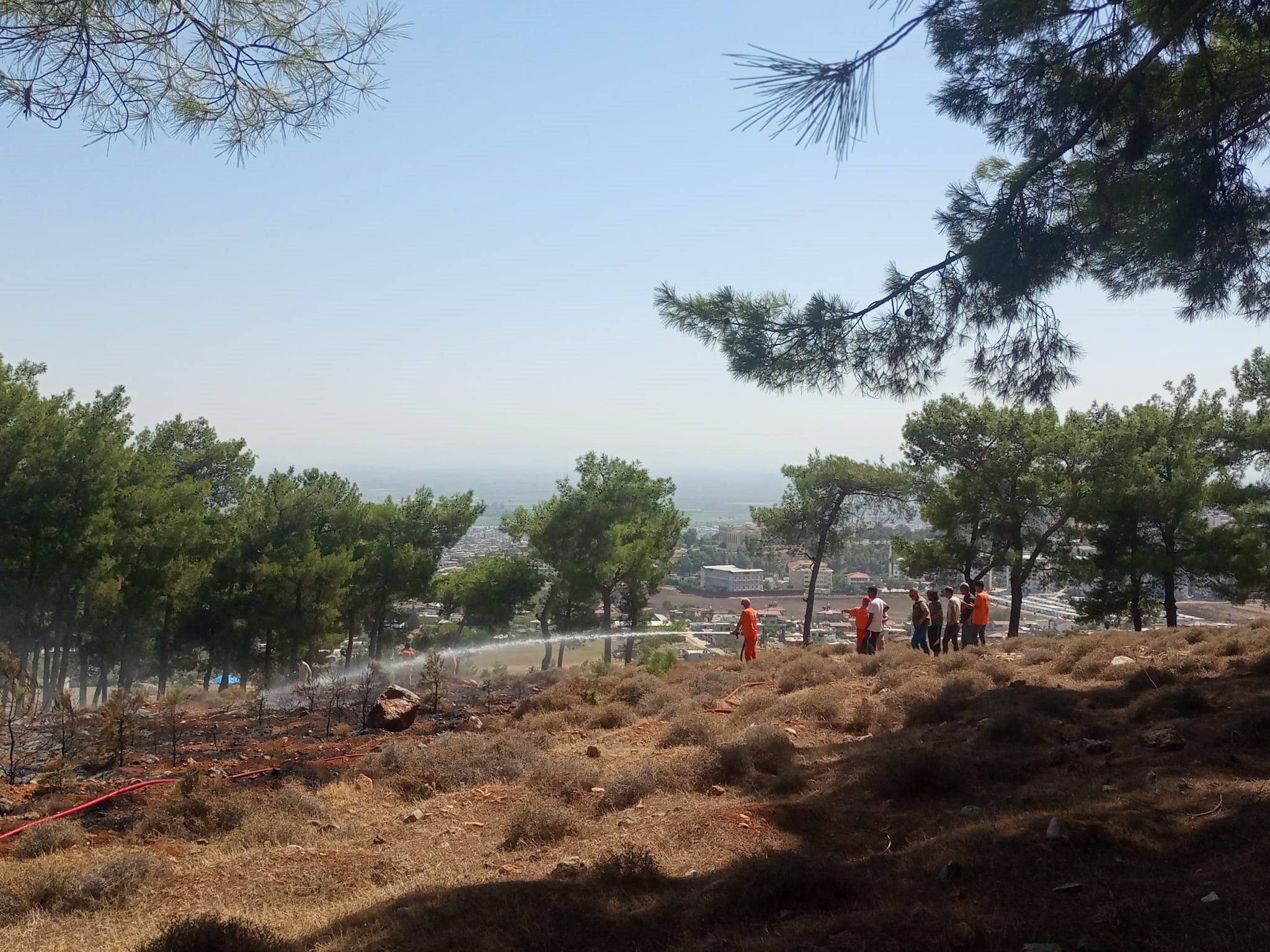 Hatay’ın Kırıkhan ilçesinde ormanlık alanda meydana gelen örtü yangına ekiplerin müdahale ediyor.