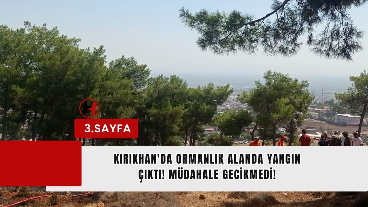 Kırıkhan'da Ormanlık Alanda Yangın Çıktı! Müdahale Gecikmedi!