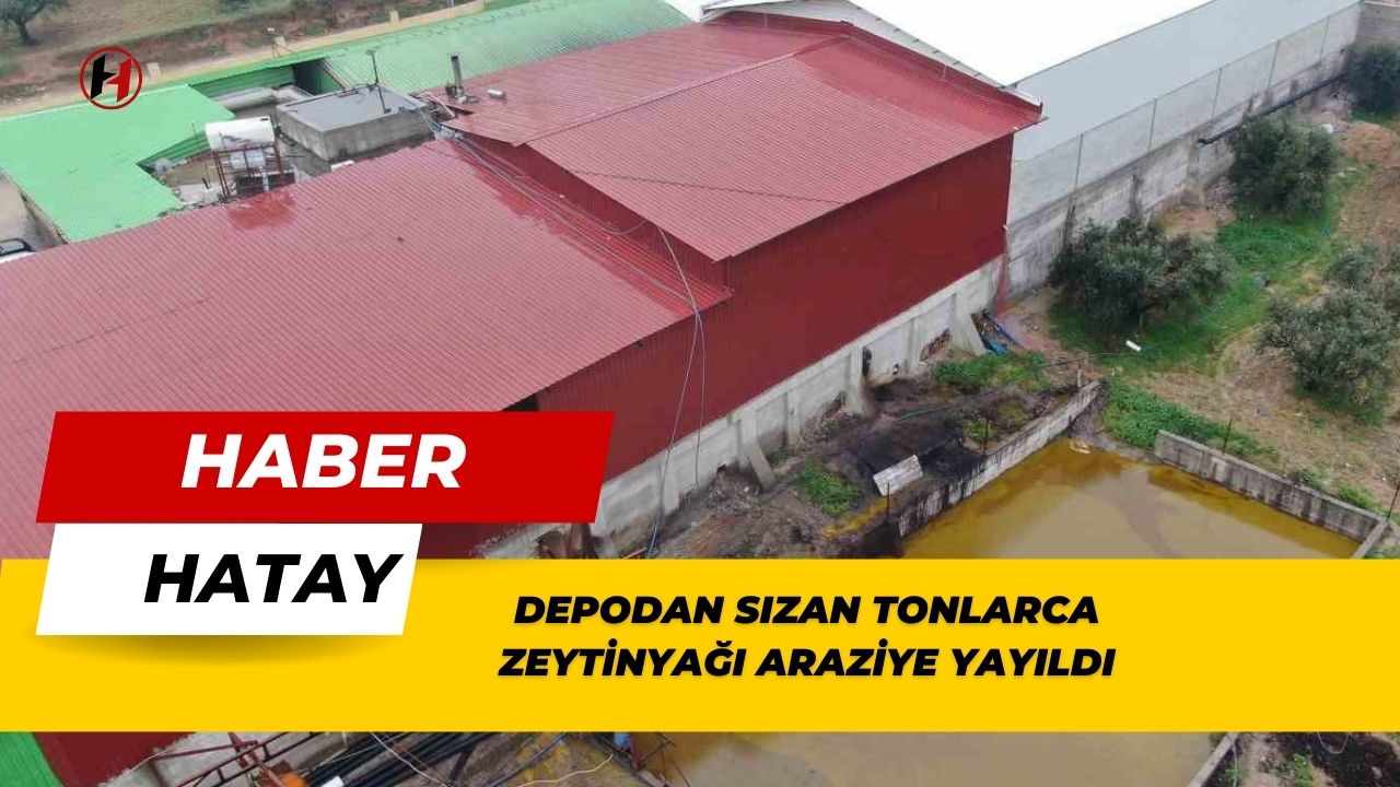 Depodan sızan tonlarca zeytinyağı araziye yayıldı