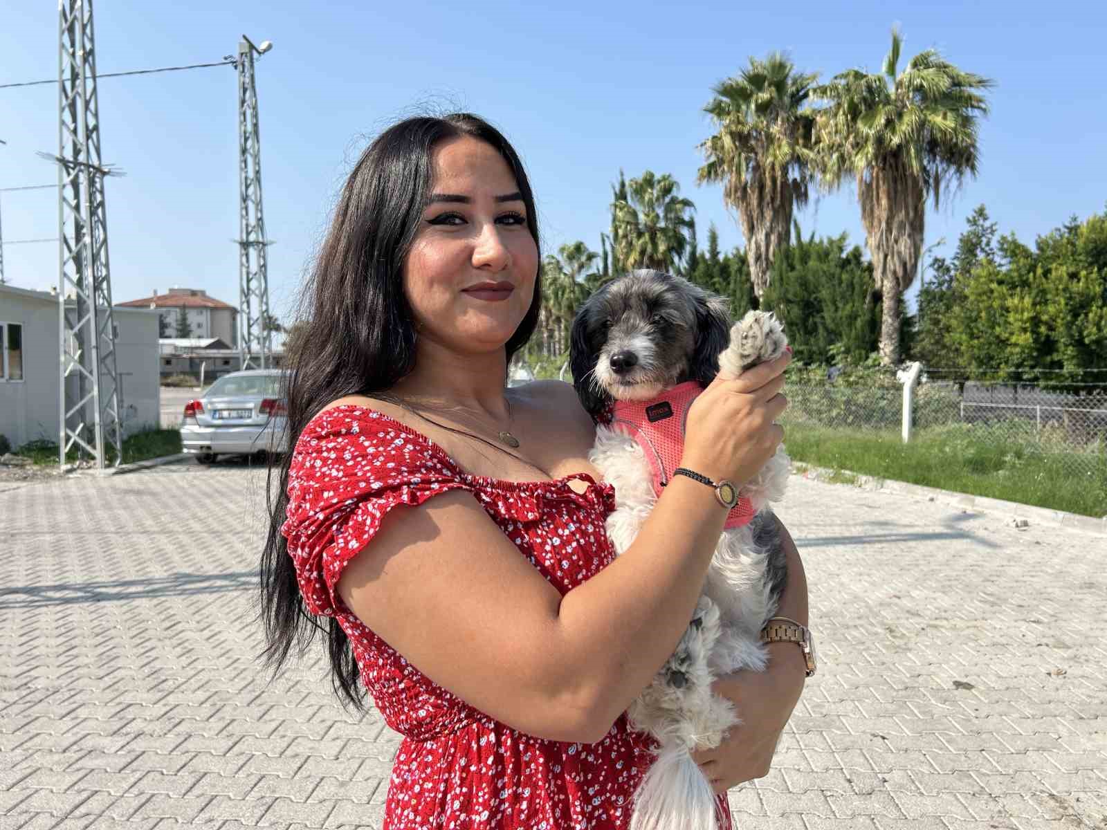 Aylardır sahibine ulaşılamayan cana sahip çıktı