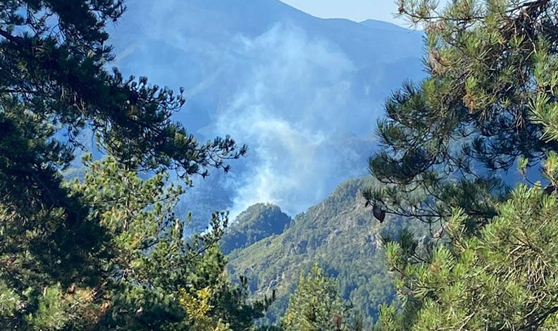 Hatay'da orman yangınına müdahale