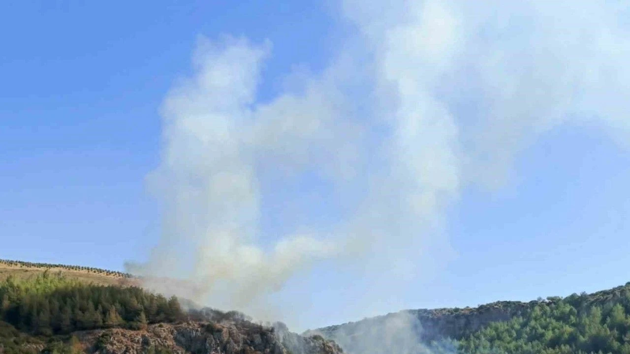 Hatay'da korkutan yangın söndürüldü