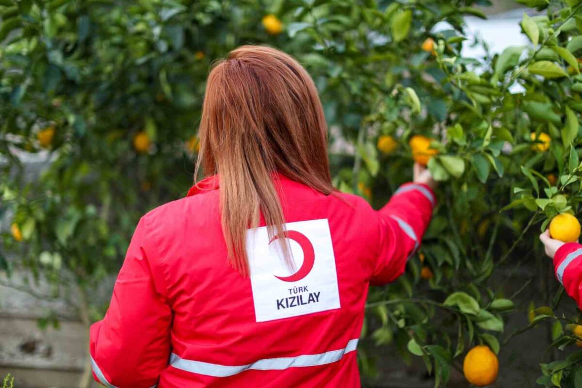 Türk Kızılay, Kahramanmaraş depremlerinin ardından tarım ve hayvancılığı yeniden canlandırmak amacıyla başlattığı Çiftçi Destek Programı'nın ilk aşamasını tamamladı.