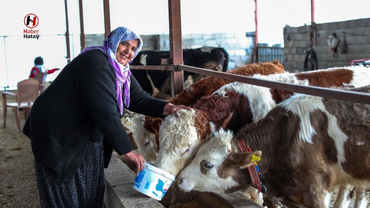 Türk Kızılay'dan Depremzedelere 70,8 Milyon Lira Destek