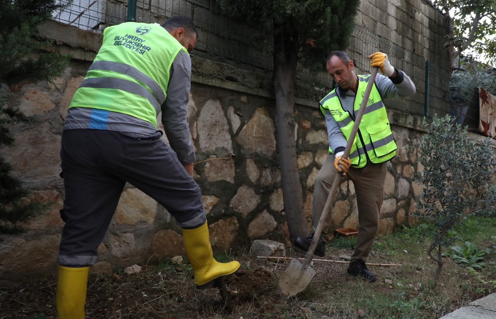 Hatay Büyükşehir Belediyesi, “Hatay Ayağa Kalkıyor” sloganıyla öğrencilerle birlikte 5000 narenciye fidanı dikerek doğa sevgisi aşılayan projelerle geleceğe yeşil bir miras bırakıyor.