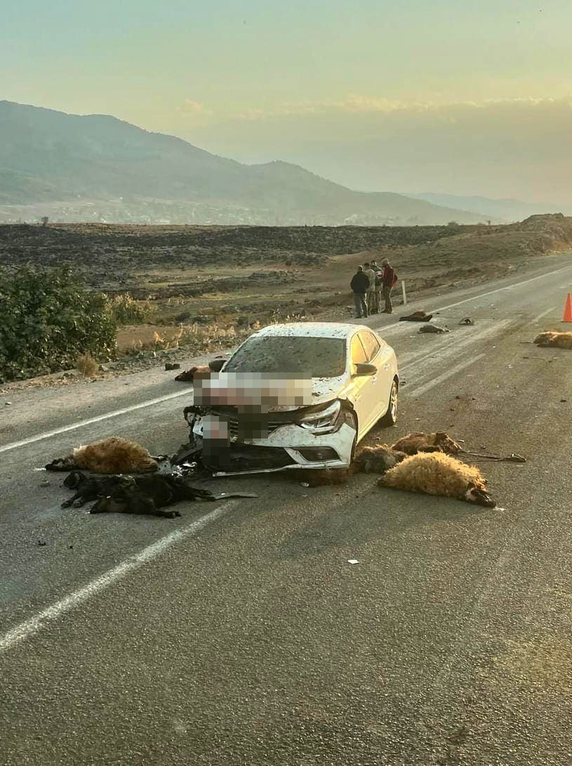 Hatay'ın Hassa ilçesinde yolun karşısına geçmeye çalışan küçükbaş hayvan sürüsüne otomobil çarptı. Kazada 17 hayvan telef olurken, yetiştirici Süleyman Uludağ geçiş yolu olmamasından yakındı.