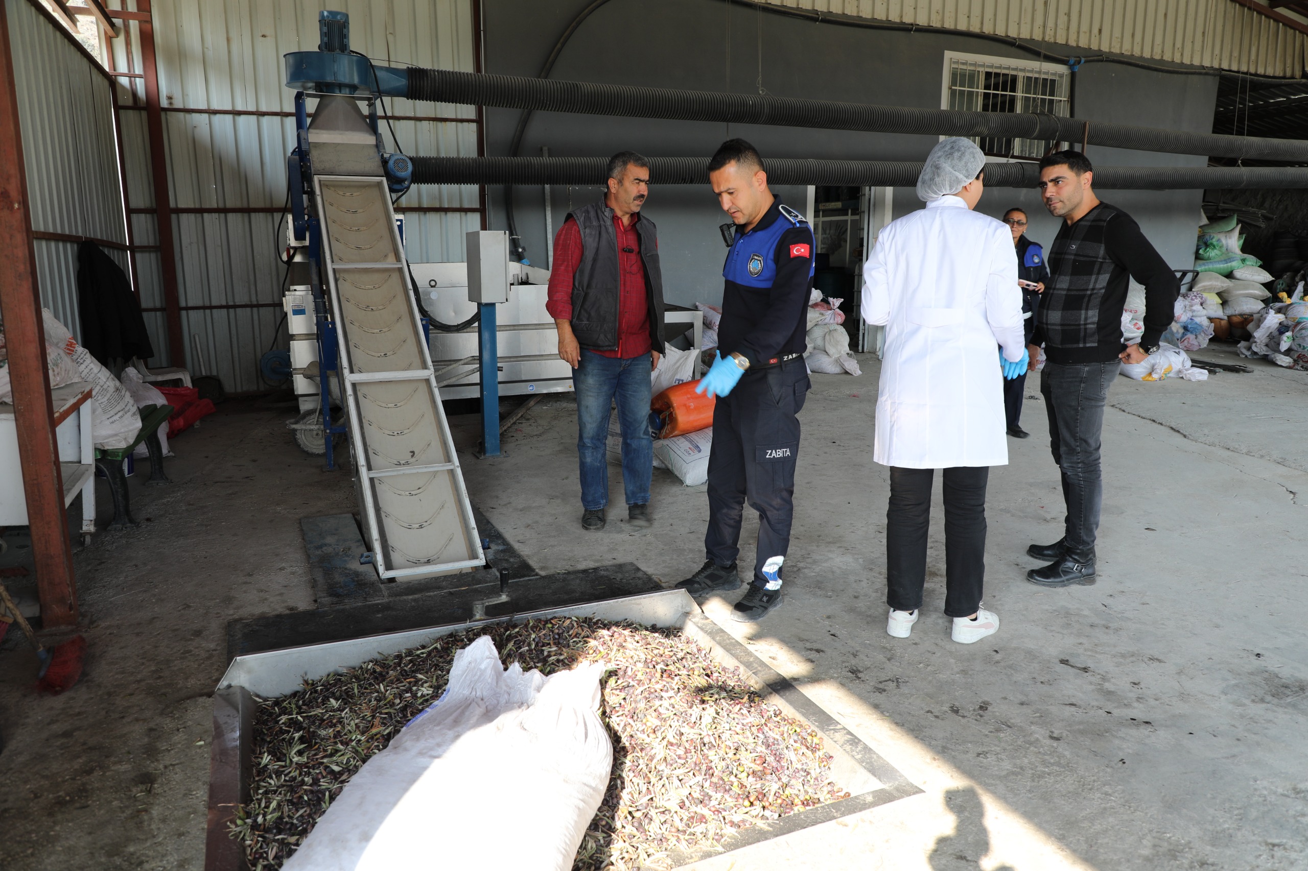 Hatay Büyükşehir Belediyesi, zeytin toplama dönemi boyunca zeytinyağı fabrikalarına yönelik hijyen ve sağlık denetimlerini arttırarak, halk sağlığını koruma amacı güdüyor.