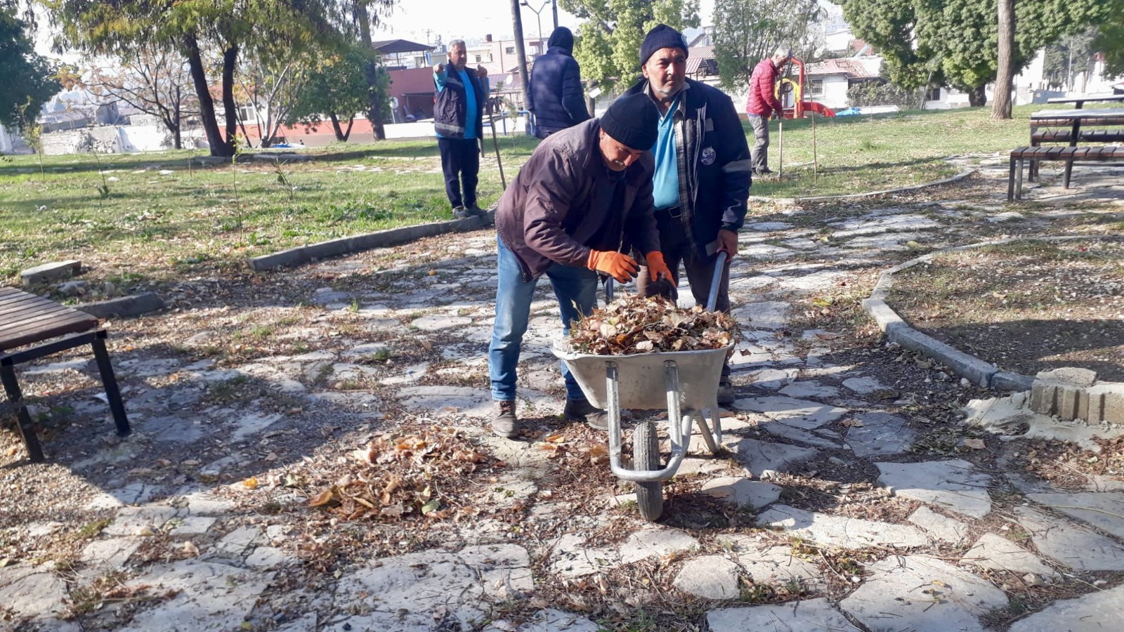 Antakya Belediyesi, 95 mahallede park ve yeşil alanlarda çim biçme, ağaç budama ve onarım çalışmalarını sürdürüyor. Kış hazırlıkları kapsamında oyun alanları ve kent mobilyaları da yenileniyor.