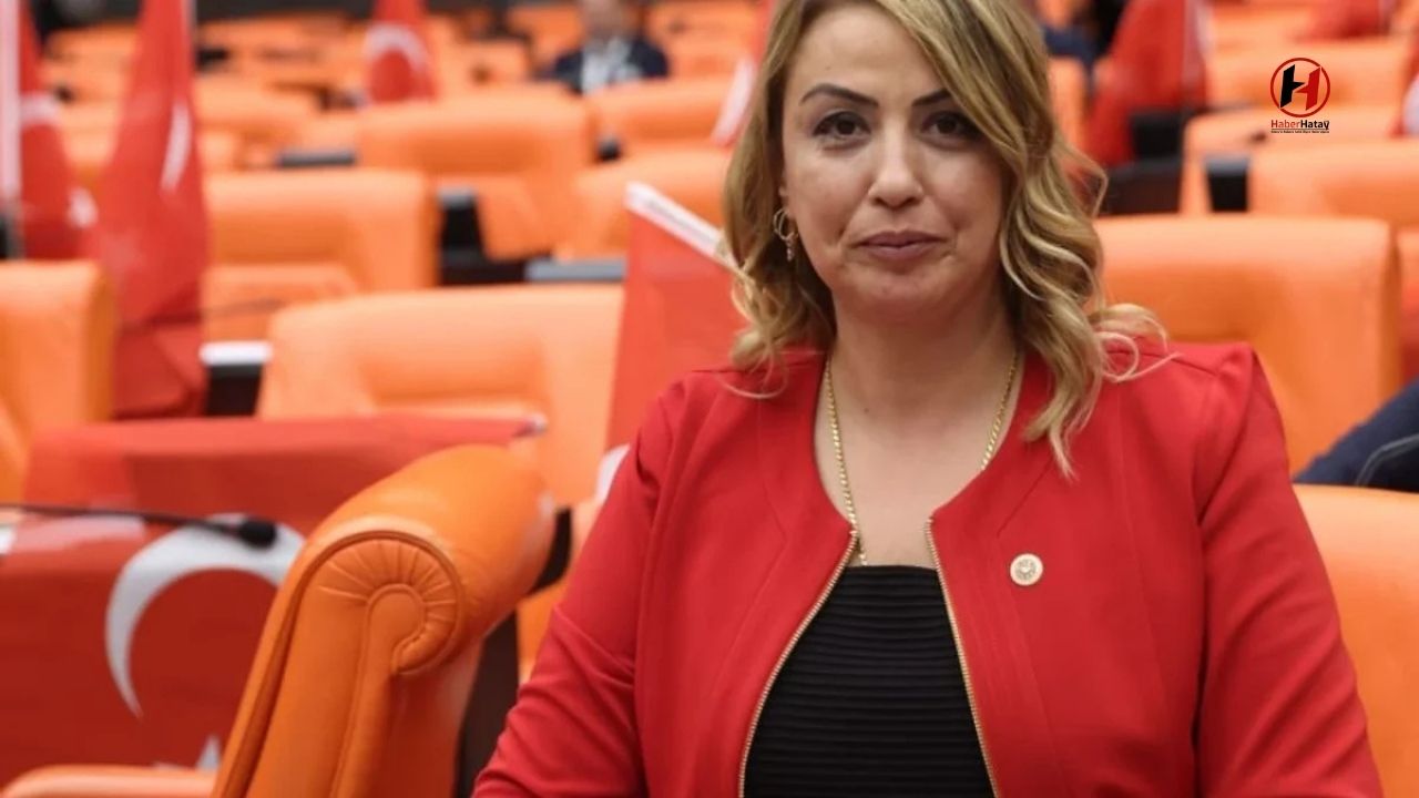 CHP'li Kara'dan "Köy Kanunu" Eleştirisi: Yerel Yönetimler Zayıflayabilir