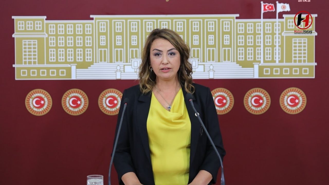 CHP'li Kara: "Hatay’da Elektrik ve Altyapı Sorunları Kriz Haline Geldi"