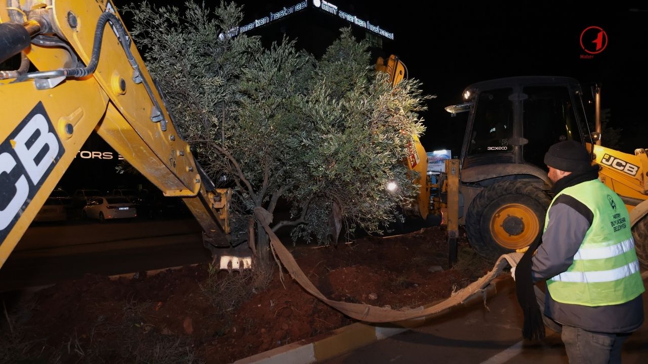 Hatay Büyükşehir Belediyesi, Reyhanlı'da Refüjleri Yeniliyor