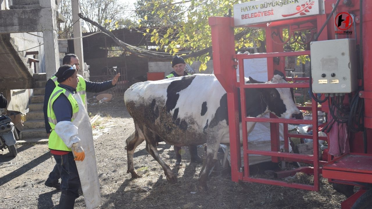 HBB, Besicilere Ücretsiz Tırnak Bakım Hizmeti Sunuyor