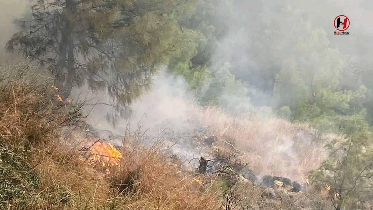 İskenderun’da Orman Yangını Kontrol Altına Alındı